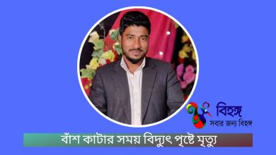 Photo of ফটিকছড়িতে বিদ্যুৎস্পৃষ্টে যুবকের মৃত্যু