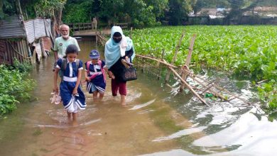 Photo of কাপ্তাইয়ে হ্রদের পানিতে ডুবে গেল স্কুল সড়ক, শিক্ষার্থীদের ভোগান্তি