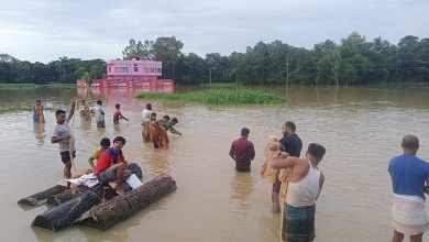 Photo of ফটিকছড়িতে বন্যার পানিতে মাছ ধরার হিড়িক