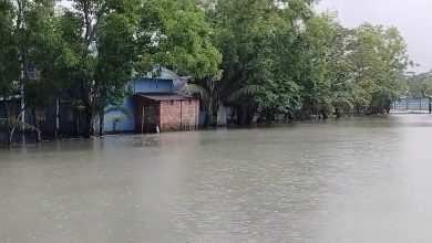 Photo of উত্তরপশ্চিম বঙ্গোপসাগরে লঘুচাপ, পায়রা বন্দরে ৩ নম্বর সতর্ক সংকেত