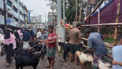 Photo of ফটিকছড়িতে জমে উঠেছে পাঠার হাট