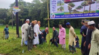 Photo of ঈদে মিলাদুন্নবী উপলক্ষ্যে বেতাগী আনজুমানে রহমানিয়ার তাল বীজ রোপন