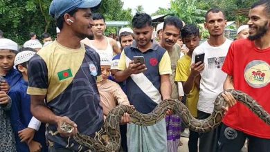 Photo of ফটিকছড়িতে আরো একটি অজগর উদ্ধার