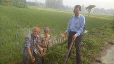 Photo of সিরাজগঞ্জে তালগাছবীজ রোপণ করে প্রশংসা ভাসছেন চিকিৎসক