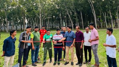 Photo of কর্ণফুলী সরকারি কলেজ মাঠে ক্রিকেট পিচ উদ্বোধন