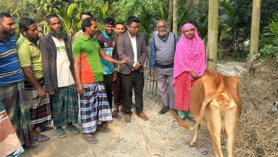 Photo of পঞ্চগড়ে কৃষি সেবা কেন্দ্রের সদস্য কৃষক-কৃষাণীর মাঝে গরু হস্তান্তর